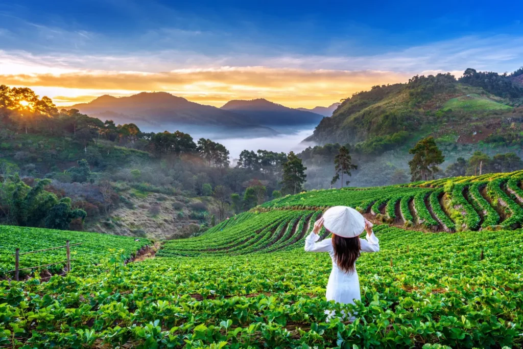 Vietnam